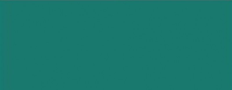 Эластичный ковровый плинтус Dollken TLE55 1307 зеленый