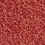 Ковролин Balsan Centaure Deco 588