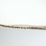 Ковролин для офиса Зартекс Кембридж 509 Перепелиный