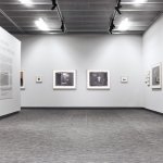 Тканое ПВХ-<noindex>покрыти</noindex>е Hoffmann Simple ECO-8012 H