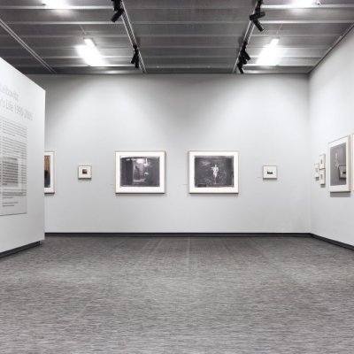 Тканое ПВХ-<noindex>покрыти</noindex>е Hoffmann Simple ECO-8012 H