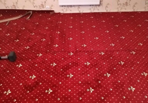 Укладка ковролина Balta. Квартира 75м²